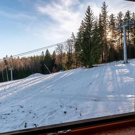 Lola 5 * Schreiberhau